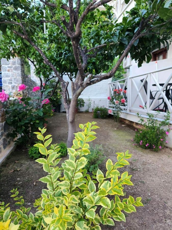 Stavroula'S House Ξενοδοχείο Σκιάθος Πόλη Εξωτερικό φωτογραφία
